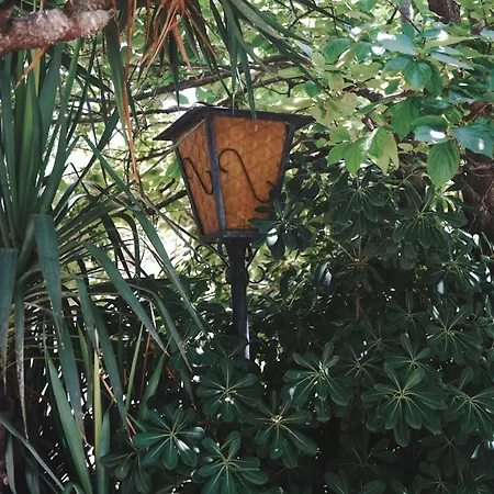 לינה וארוחת בוקר Av De Bordeaux *